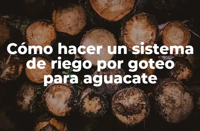 Cómo Hacer un Sistema de Riego por Goteo para Aguacate