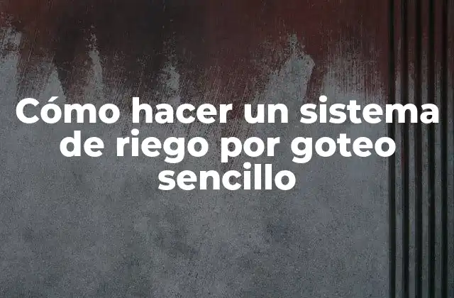 Cómo Hacer un Sistema de Riego por Goteo Sencillo