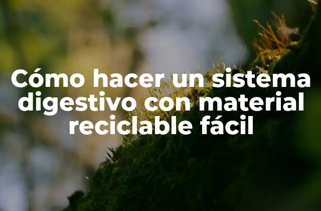 Cómo Hacer un Sistema Digestivo con Material Reciclable Fácil