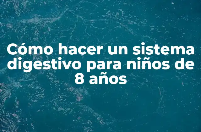 Cómo Hacer un Sistema Digestivo para Niños de 8 Años