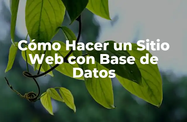 Cómo Hacer un Sitio Web con Base de Datos