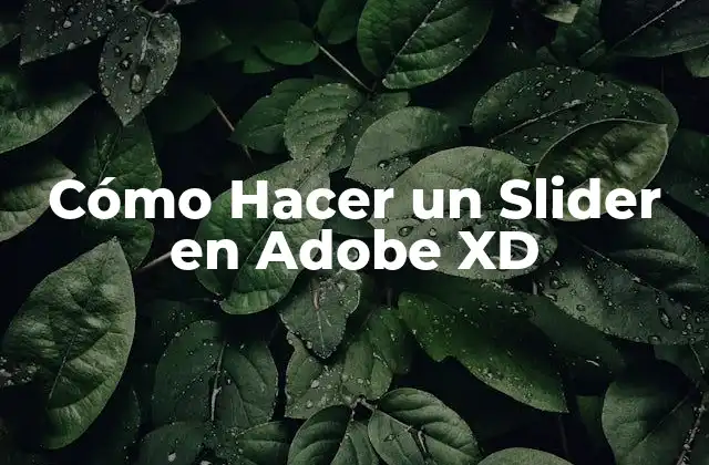 Cómo Hacer un Slider en Adobe Xd