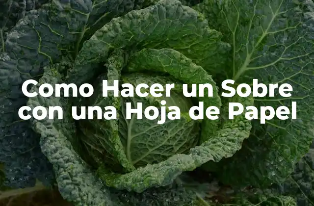 Como Hacer un sobre con una Hoja de Papel