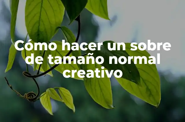 Cómo hacer un sobre de tamaño normal creativo