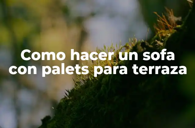 Como Hacer un Sofa con Palets para Terraza