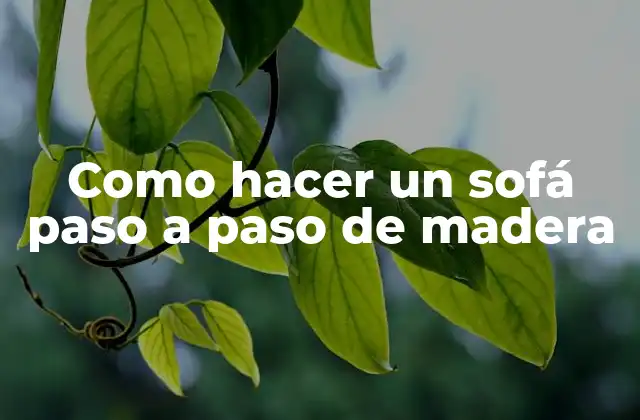 Como Hacer un Sofá Paso a Paso de Madera