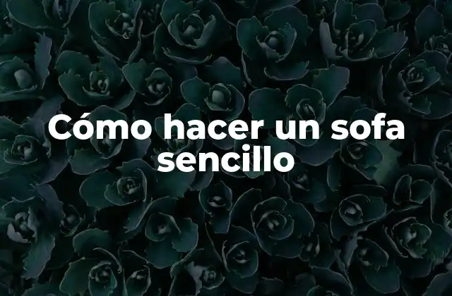 Cómo Hacer un Sofa Sencillo 2 Cómo hacer un sofa sencillo