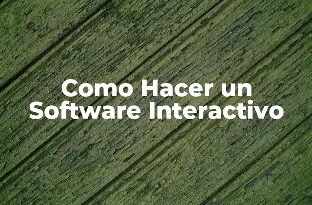 Como Hacer un Software Interactivo