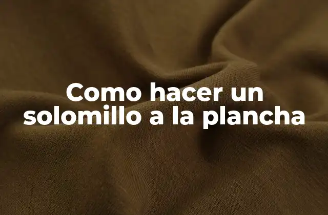Como Hacer un Solomillo a la Plancha 2 ¿Qué es un solomillo a la plancha y para qué sirve?