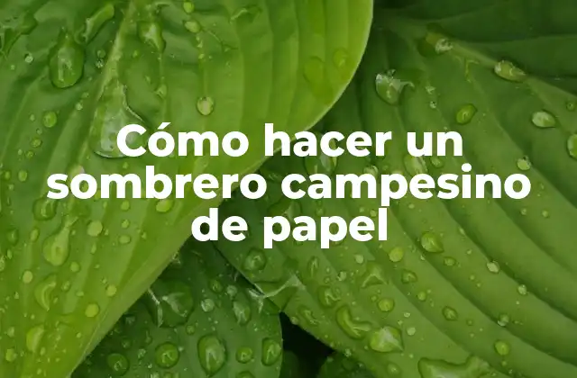 Cómo Hacer un Sombrero Campesino de Papel