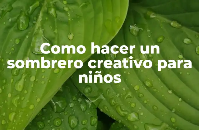 Como Hacer un Sombrero Creativo para Niños