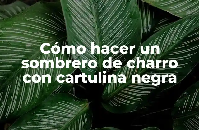 Cómo Hacer un Sombrero de Charro con Cartulina Negra