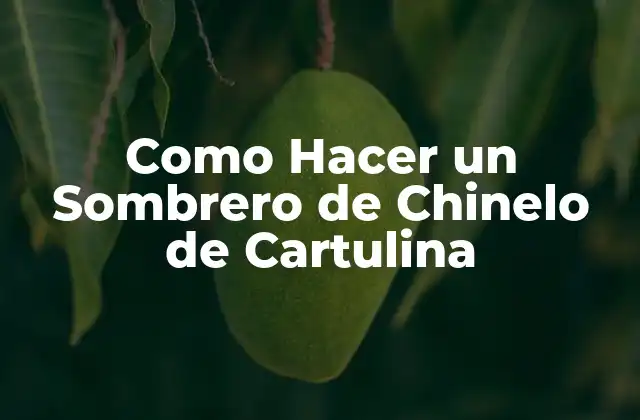 Como Hacer un Sombrero de Chinelo de Cartulina