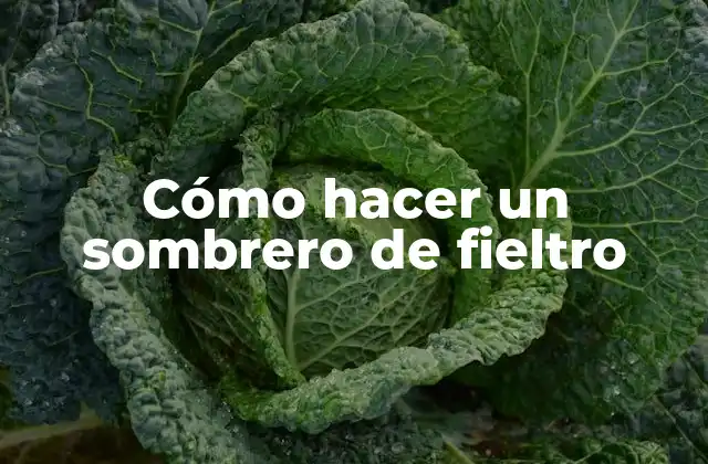 Cómo Hacer un Sombrero de Fieltro