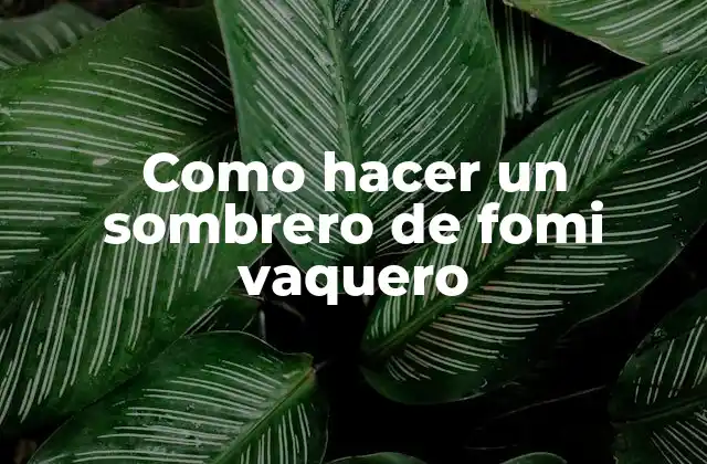 Como Hacer un Sombrero de Fomi Vaquero