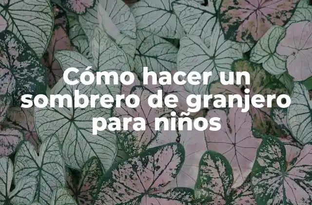 Cómo Hacer un Sombrero de Granjero para Niños