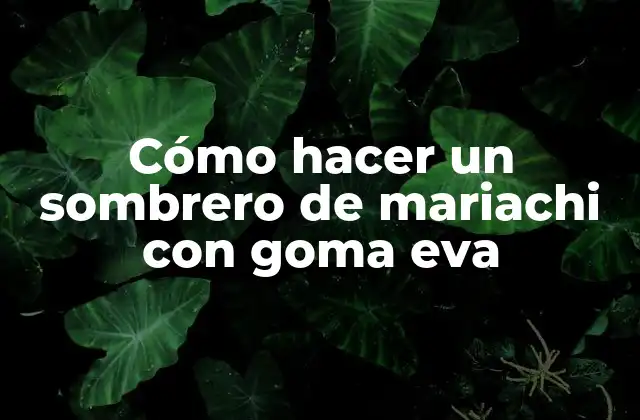 Cómo Hacer un Sombrero de Mariachi con Goma Eva