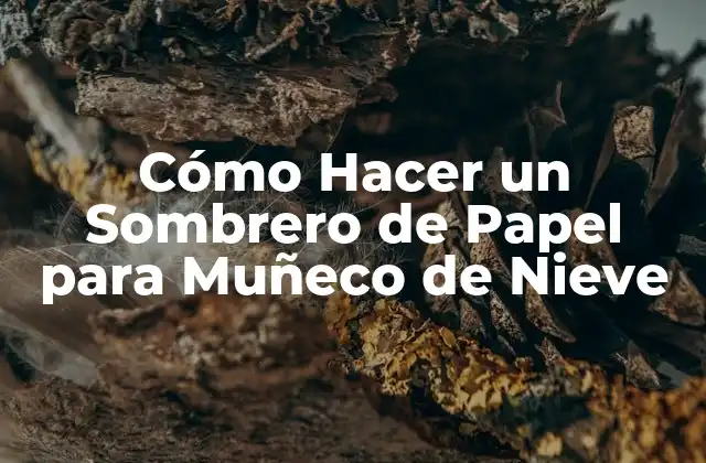 Cómo Hacer un Sombrero de Papel para Muñeco de Nieve