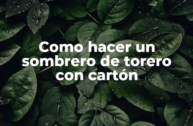 Como Hacer un Sombrero de Torero con Cartón