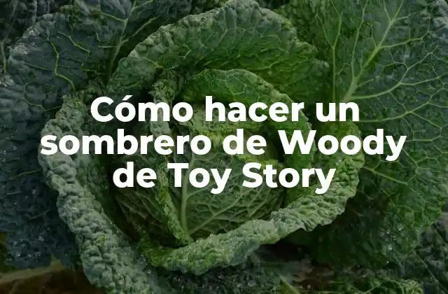 Cómo Hacer un Sombrero de Woody de Toy Story