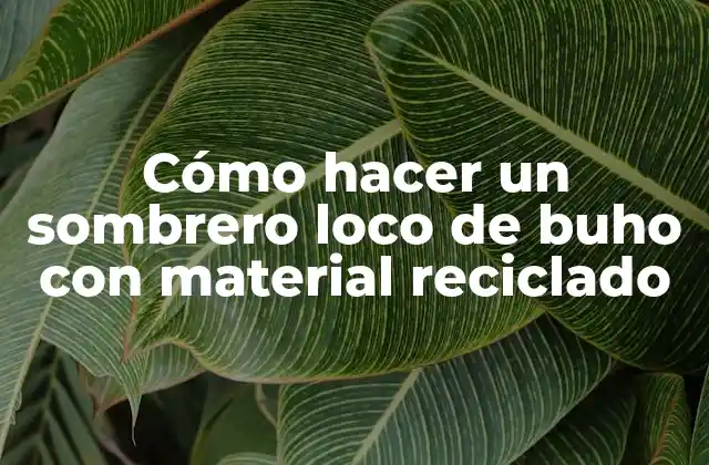 Cómo Hacer un Sombrero Loco de Buho con Material Reciclado