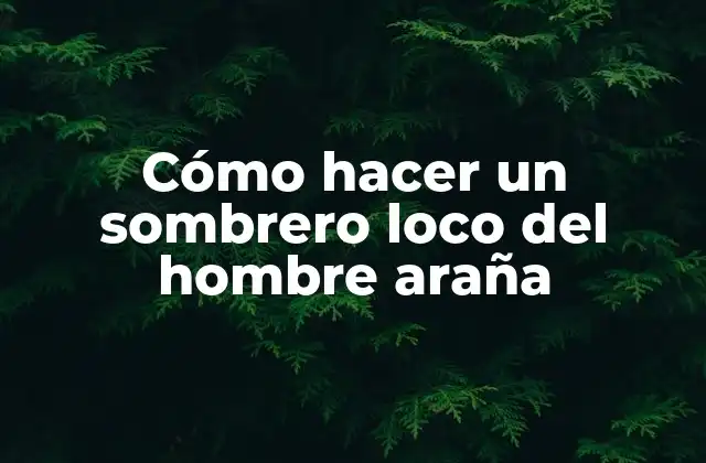 Cómo Hacer un Sombrero Loco Del Hombre Araña