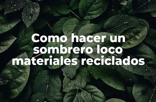 Como Hacer un Sombrero Loco Materiales Reciclados