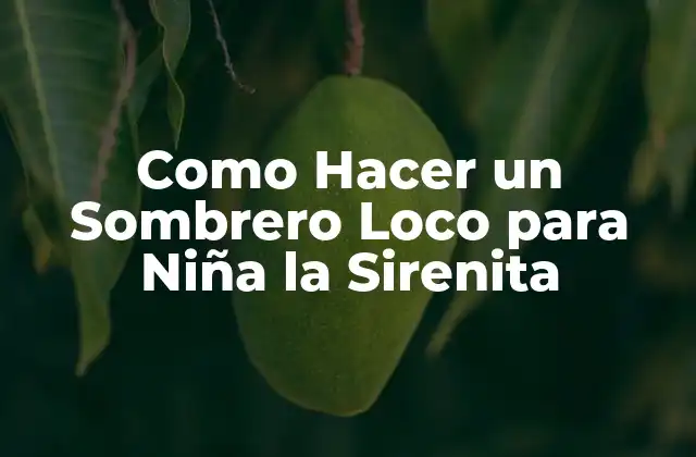Como Hacer un Sombrero Loco para Niña la Sirenita