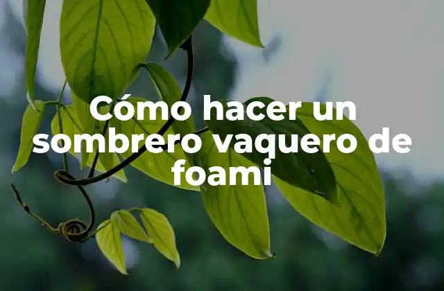Cómo Hacer un Sombrero Vaquero de Foami