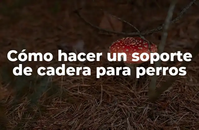 Cómo Hacer un Soporte de Cadera para Perros