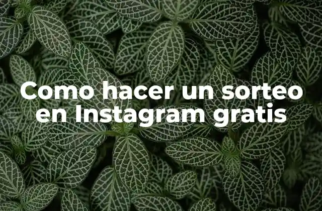 Como Hacer un Sorteo en Instagram Gratis