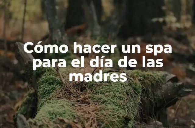 Cómo Hacer un Spa para el Día de las Madres
