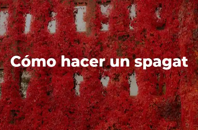 Cómo Hacer un Spagat 2 ¿Qué es un spagat?