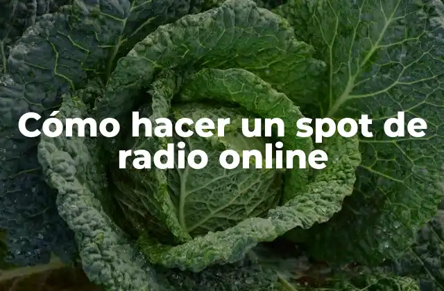 Cómo Hacer un Spot de Radio Online