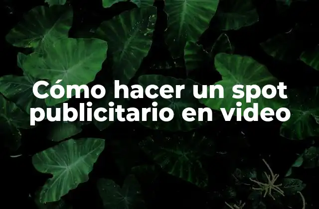 Cómo Hacer un Spot Publicitario en Video