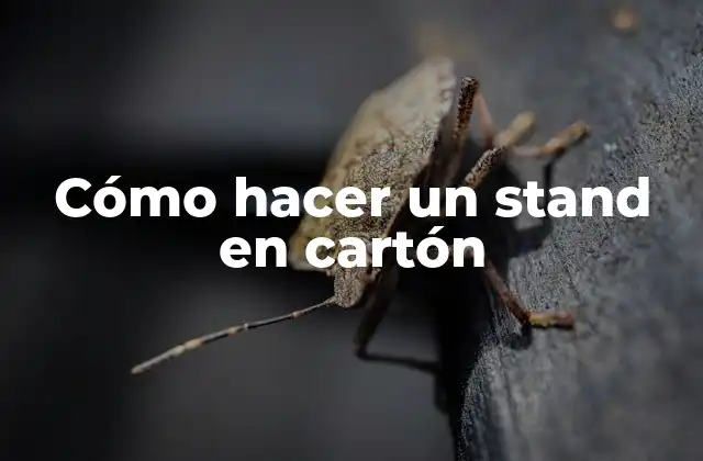 Cómo Hacer un Stand en Cartón