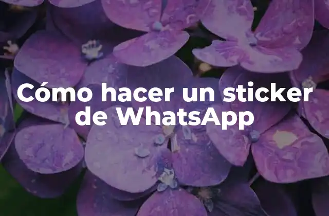 Cómo Hacer un Sticker de Whatsapp