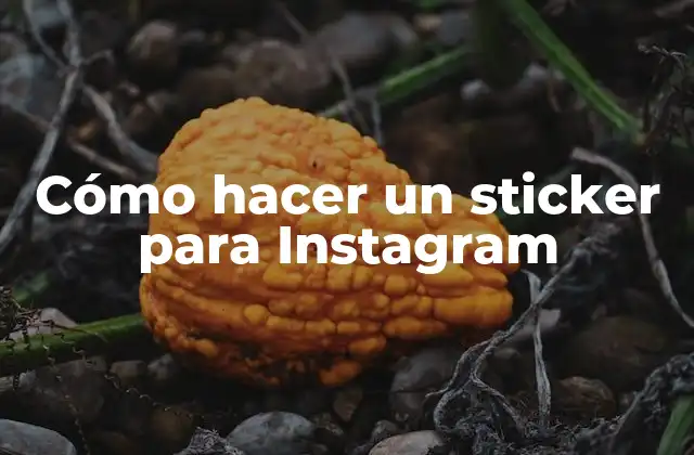 ¿Qué es un sticker para Instagram?