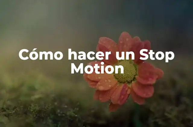 Cómo Hacer un Stop Motion