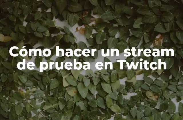 Cómo Hacer un Stream de Prueba en Twitch