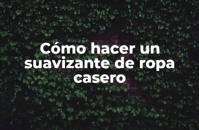 Cómo Hacer un Suavizante de Ropa Casero