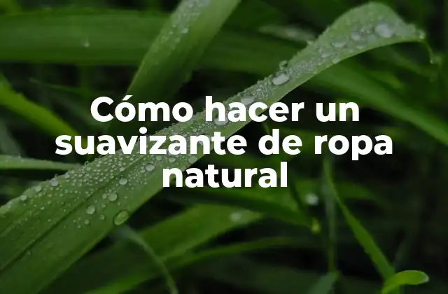 Cómo Hacer un Suavizante de Ropa Natural