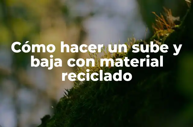Cómo Hacer un Sube y Baja con Material Reciclado