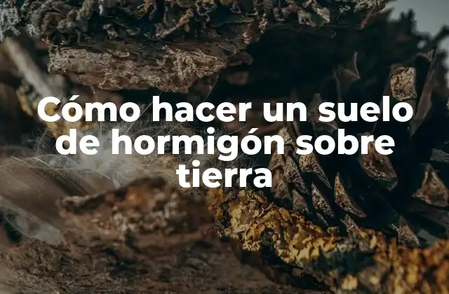 Cómo Hacer un Suelo de Hormigón sobre Tierra