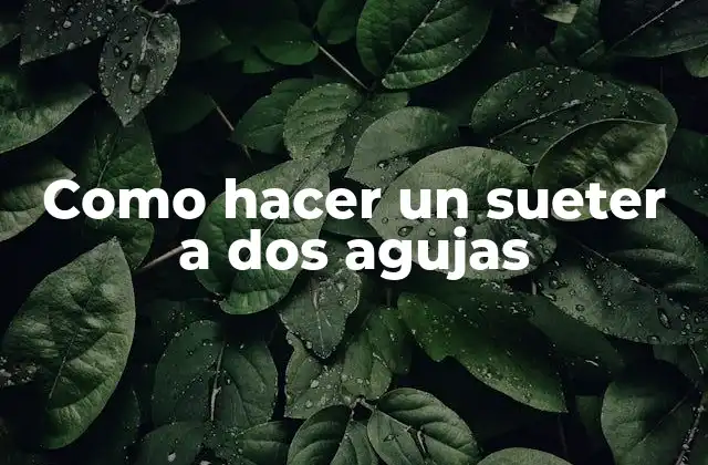Como Hacer un Sueter a Dos Agujas 2 Qué es un sueter a dos agujas