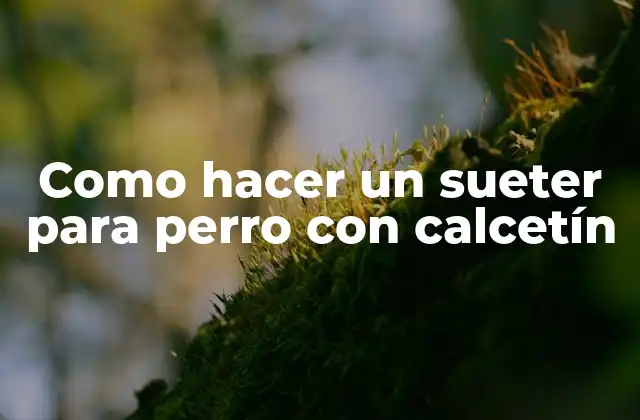 Como hacer un sueter para perro con calcetín