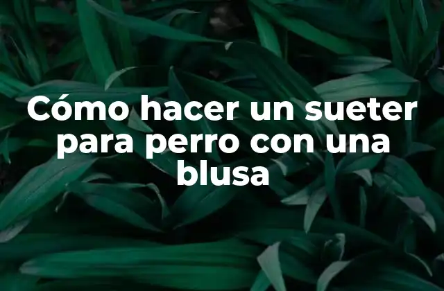 Cómo Hacer un Sueter para Perro con una Blusa