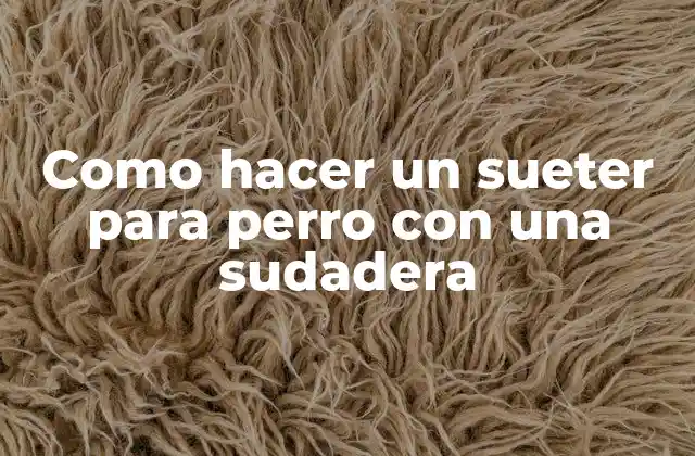 Como Hacer un Sueter para Perro con una Sudadera
