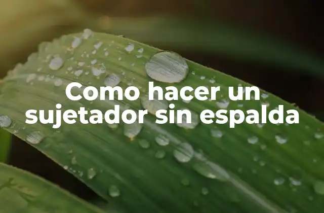 Como Hacer un Sujetador sin Espalda