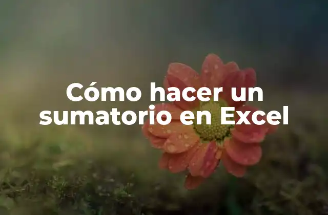 Cómo Hacer un Sumatorio en Excel